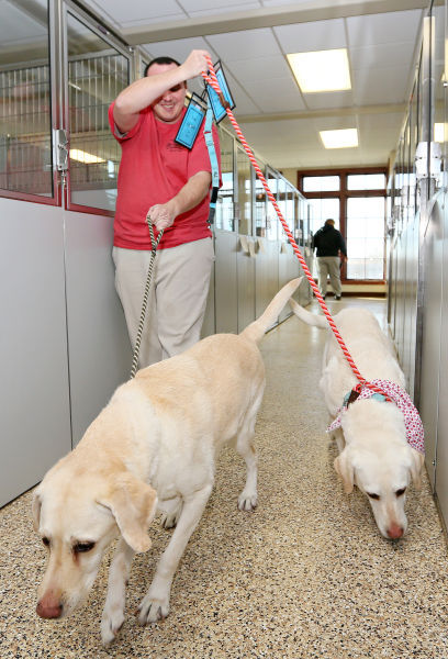 Dogwood Pet Spa